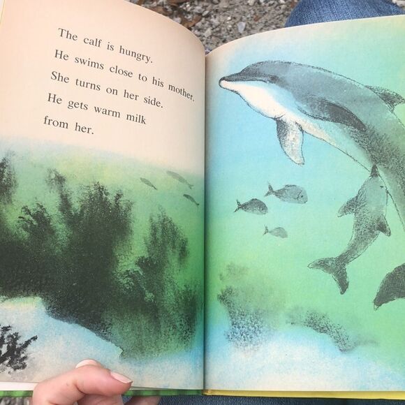 Vtg 1975 A Science I can Read Book Dolphin - Picture 5 of 8